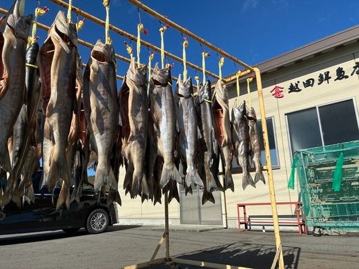 【2025年12月中旬より発送】新巻鮭 切り身(2切れ×3パック)