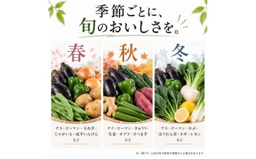 朝どれ！野菜の詰合せ 3ヶ月定期便 芸西村で採れた新鮮な野菜6～8種類をお届けします。 野菜 野菜詰め合わせ 野菜セット 詰め合わせ ナス ピーマン 