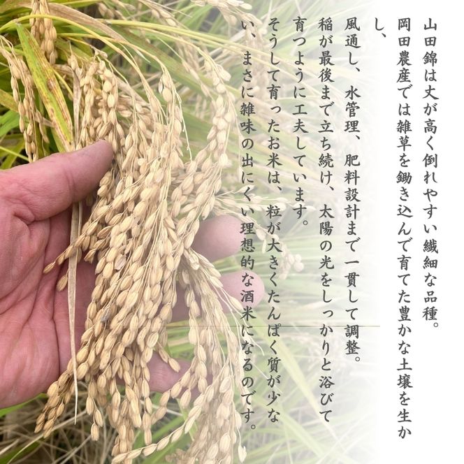 日本酒 純米大吟醸 「お米も一番星 田」 720ml×2本 化粧箱入り 酒 お酒 清酒 山田錦 アルコール ギフト プレゼント