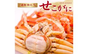 セコガニ 特大サイズ150～190g ×5枚 ご進物用（茹で） 312011_FT001