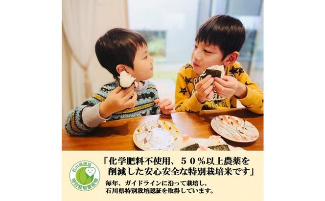 【日本農業賞大賞】【定期便5カ月連続】厳選プレミアム米3kg精白米(特別栽培米コシヒカリ) 172111_AE031