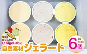 010B1779 自然素材 ジェラート 6個 食べ比べ【アイス スイーツ 季節のじぇらーと いちご メロン トウモロコシ IchigoLab】