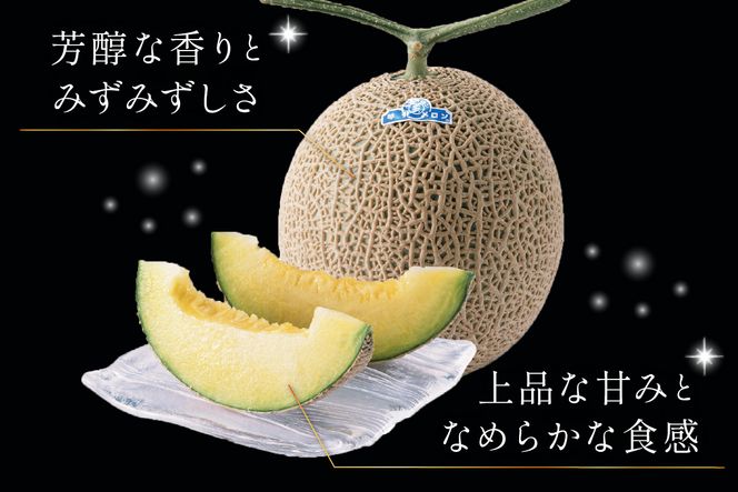 【先行予約／数量限定500】京のブランド産品 京たんごメロン 琴引メロン LAサイズ 2玉（2026年6月下旬～発送）　JK00024