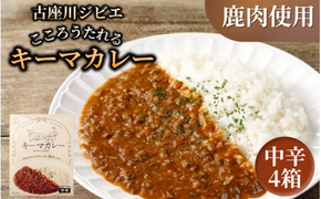 古座川ジビエ　こころうたれるキーマカレー4箱セット（160g×4個）【gbe108】