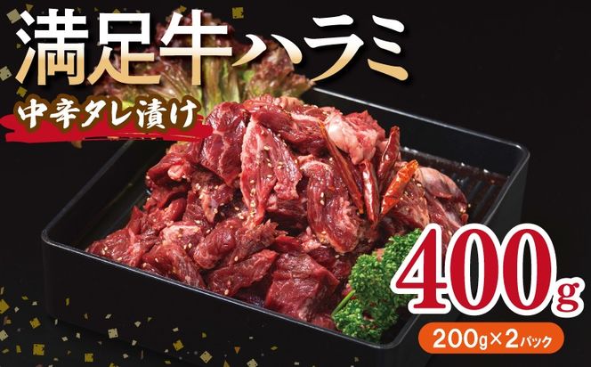 y{򍲖szG3447 yn~zh^Ђ 400gyt n~  Ă ȒP BBQ  200g×2Pz