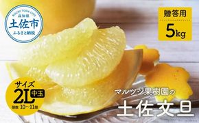 マルツジ果樹園の土佐文旦 贈答用(中玉) 約5kg 5キロ 2Lサイズ 10～11個入り ぶんたん ブンタン フルーツ 柑橘 みかん 果物 くだもの 柑橘類 デザート お取り寄せ 国産