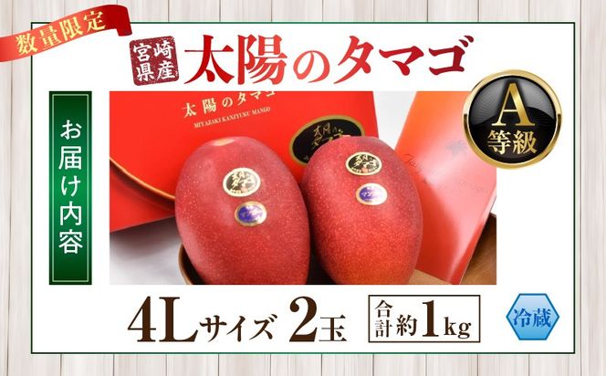 【2027年発送】【数量限定】宮崎県産 太陽のタマゴ A等級 4Lサイズ×2玉（合計約1kg）_kn056-011