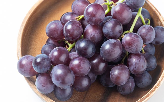 ぶどう 藤稔 6P 国産 果物 くだもの 青果 フルーツ 葡萄 ブドウ グレープ ジューシー デザート やすらぎ市 高知県 香南市 冷蔵 yr-0100