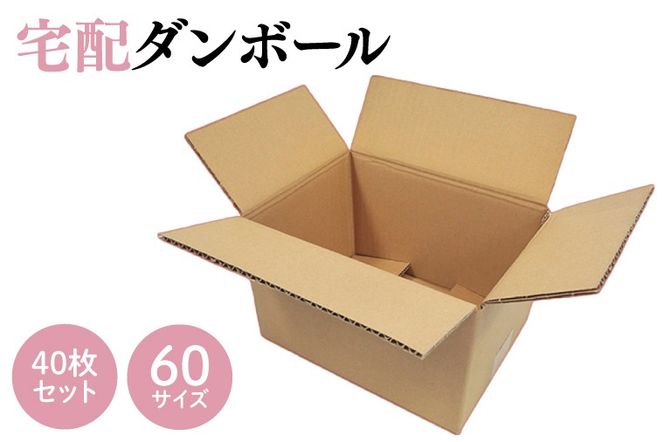 【新品未開封】【箱のまま発送】N コレクションファイル　6セット ケースN式 クラフト180×125×60:化粧箱net【紙箱/小箱/ギフト箱】