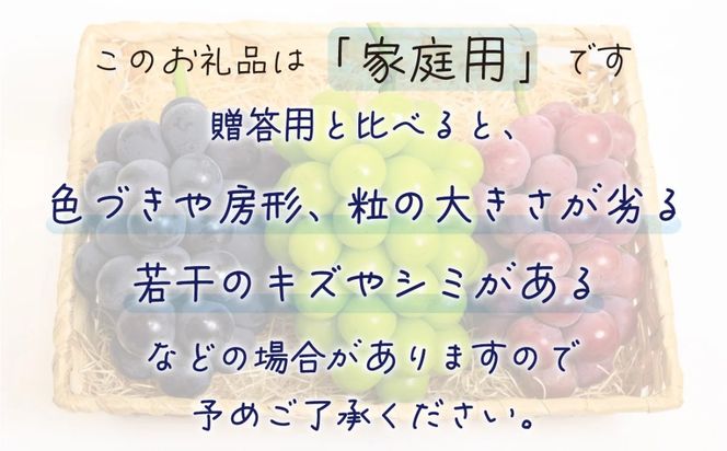 【2026年の先行予約】岡山 花笑み農園 10月おすすめ『ぶどう３種』家庭用（1.8kg） 3M-2L家 / ぶどう 詰め合わせ 食べ比べ シャインマスカット 岡山 真庭市 【hana086-01】