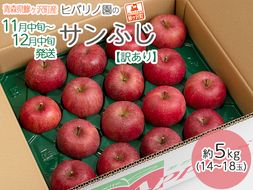 りんご 訳あり 青森 サンふじ リンゴ 約 5kg （14～18玉） 青森県 鰺ヶ沢産 ヒバリノ園 フルーツ 果物 果物類 白神山地 林檎 サンフジ ふじ ※オンライン決済のみ 