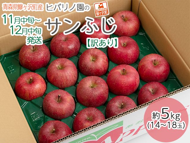 りんご 訳あり 青森 サンふじ リンゴ 約 5kg （14～18玉） 青森県 鰺ヶ沢産 ヒバリノ園 フルーツ 果物 果物類 白神山地 林檎 サンフジ ふじ ※オンライン決済のみ 
