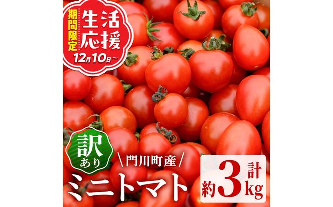 訳あり 規格外 数量限定 門川町産 ミニトマト(計3kg)  訳あり 規格外 数量限定 門川町産 ミニトマト 期間限定 生活応援 とまと 野菜 ミックス 生 旬野菜 冷蔵 小鈴 キャロルパッション プレミアムルビー アイコ 【いけとも農園】【X-10】