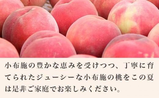 あかつき 約3kg 7～12玉 ［小布施屋］ 桃 もも モモ フルーツ 果物 令和7年産 【2025年7月末頃～8月上旬発送】 ［A-4］