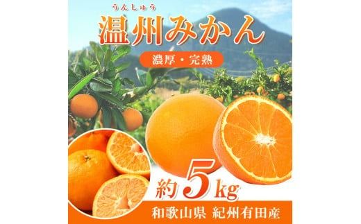 【先行予約】紀州有田産 濃厚完熟 温州みかん 5kg 【家庭用 訳あり】 ※2026年11月下旬～2027年1月下旬頃に順次発送予定 / みかん ミカン 蜜柑 温州みかん 柑橘 フルーツ 果物 くだもの 和歌山【uot003】