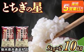 米 とちぎの星 10kg(5kg×2) 栃木県産【栃木県共通返礼品】