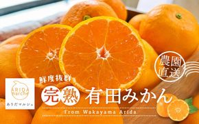 【12月発送】農園直送!完熟有田みかん 約3kg＋200g【サイズ混合】【ard002C-12】