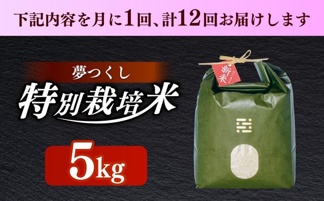 【全12回定期便】とくべつの中のとくべつ  特別栽培米  夢つくし 5kg【築上町】 / itoshimacco / 株式会社やました[ABEX008]