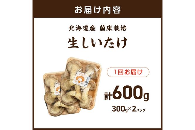 北海道産 生しいたけ(菌床) 2パック ( きのこ キノコ 椎茸 シイタケ )【038-0012】