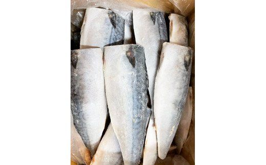【ご家庭用】大容量！塩さばフィレ3.5kg　鯖 サバ 切身【uot749C】
