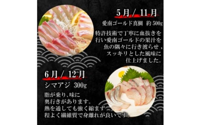 定期便 6回 刺身 鮮魚 冷凍 真空 パック 旬 かつお タイ ブリ 愛南ゴールド真鯛 シマアジ カンパチ 高級魚 鰤 鰹 鯛 縞鯵 勘八 魚 魚介 魚介類 海鮮 海鮮食品 おかず おつまみ 新鮮 天然 養殖 ハマスイ 愛南町 愛媛県