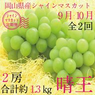 【定期便 全2回】 ぶどう 2026年 先行予約 9月・10月発送 シャインマスカット 晴王 2房 合計約1.3kg ブドウ 葡萄 岡山県産 国産 フルーツ 果物 ギフト