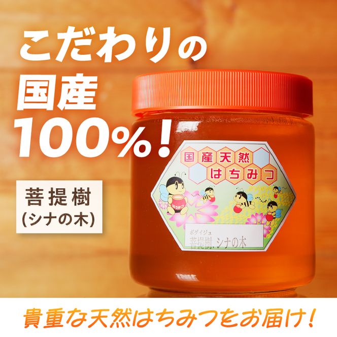 【北海道滝川産】高見養蜂場の純粋はちみつ(菩提樹、シナの木600g×1本)｜国産 日本製 天然 無添加 純粋 非加熱 生はちみつ ミツバチ ハニー 栄養 健康 美容 ビタミン ミネラル 抗生物質 プロポリス アミノ酸 濃厚 ギフト 贈答