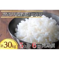 【1月発送】【定期便】令和7年産 新米 5kg 6ヶ月 京都丹波産 キヌヒカリ 白米＜JA京都 たわわ朝霧＞ 6回定期便 5kg×6回 計30kg 毎月発送に合わせて精米