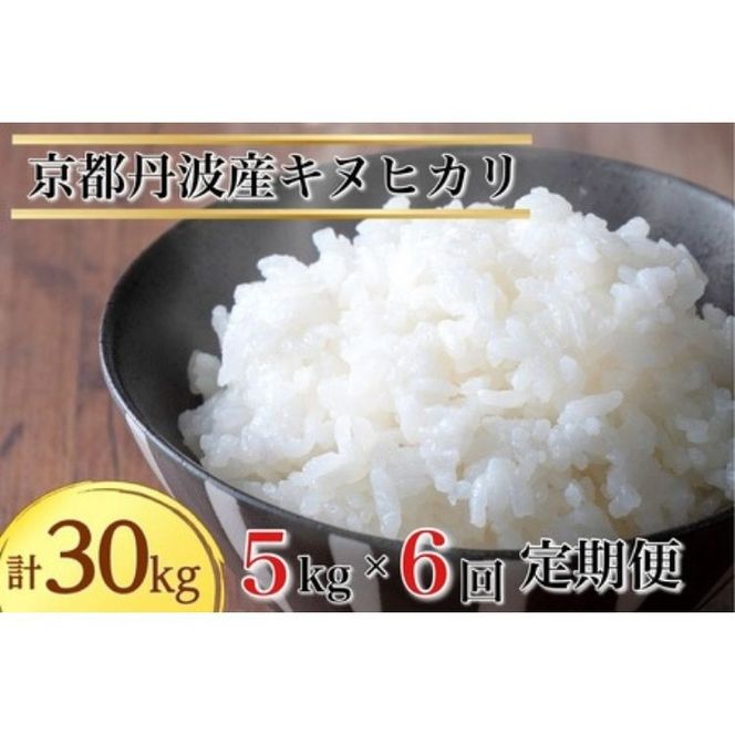 【1月発送】【定期便】令和7年産 新米 5kg 6ヶ月 京都丹波産 キヌヒカリ 白米＜JA京都 たわわ朝霧＞ 6回定期便 5kg×6回 計30kg 毎月発送に合わせて精米