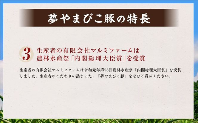 幸田町産「夢やまびこ豚」厳選 バラエティパック 4種類 1kg (ロース・バラ・ヒレ・小間切れ)  肉 お肉 豚肉