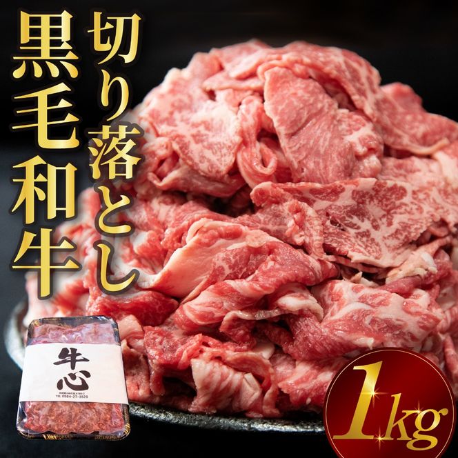 【人気精肉店からお届け】小林市産 黒毛和牛 切り落とし 1kg （牛肉 黒毛和牛 訳あり 切り落とし 小間切れ 赤身 小分け）