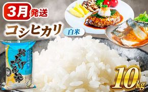 ＼3月発送分／ コシヒカリ 白米 10kg / 脇野コンバイン[AECP022-7]