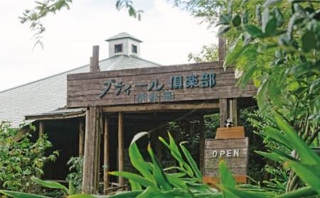 プティール倶楽部のバジルペースト ～ジェノベーゼ～ 3本セット 糸島市 / プティール倶楽部 伊都国【いとしまごころ】[ACZ002] バジルソース 無添加 ジェノベーゼソース バジルペースト