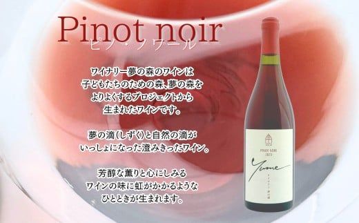 【数量限定】余市「ワイナリー夢の森」ピノ・ノワール2023&リーデル社製ロゴ入りワイングラス_Y034-0113