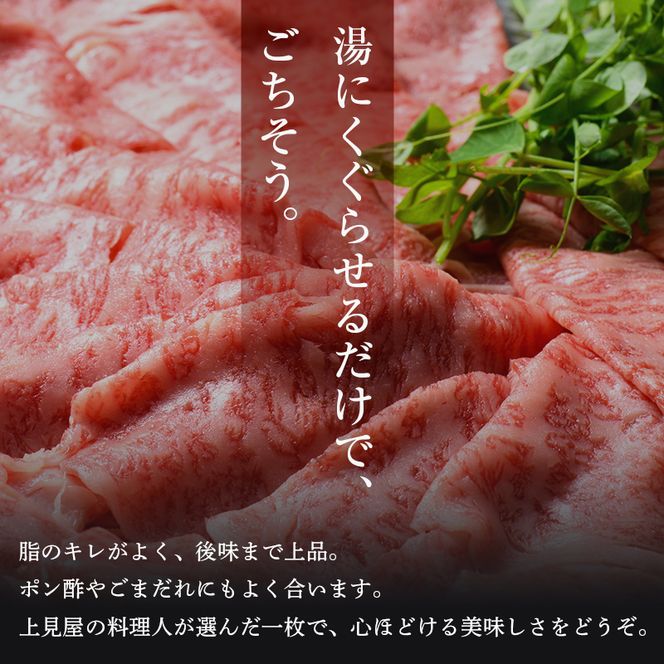 牛肉 飛騨牛 ロース肉 しゃぶしゃぶ用 750g 牛 肉 ロース しゃぶしゃぶ 赤身 飛騨 F4N-1743