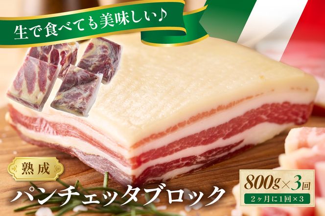 【定期便 隔月×3回】パンチェッタブロック（豚バラ肉の塩漬け）　約200g×4袋 ふるさと納税 豚肉 塩漬け ふるさと納税 ベーコン ふるさと納税 パンチェッタ 豚バラ 塩漬け スペイン料理　NI00026