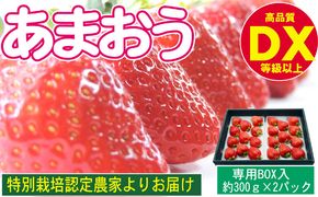あまおう DX等級以上 約300g×2パック ※配送不可：北海道・東北・沖縄・離島 果物 苺 フルーツ デザート 旬 大粒 中玉 大玉 旬のあまおう 福岡の特産品 