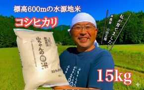542. 農家直送「山ちゃんのお米」コシヒカリ15kg