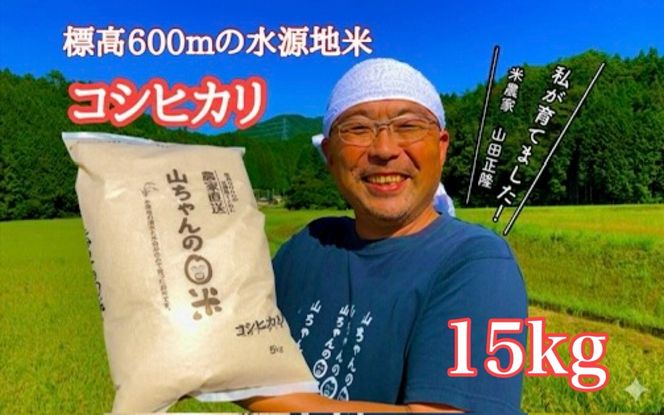 542. 農家直送「山ちゃんのお米」コシヒカリ15kg