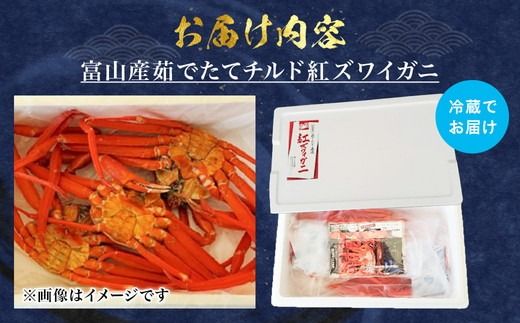 訳あり カニ 魚卸問屋のベニズワイガニ 約2kg 蟹 かに 紅ズワイガニ はりたや【 わけあり 】 ※2025年9月下旬～2026年5月下旬頃に順次発送予定 ※北海道・沖縄・離島への配送不可