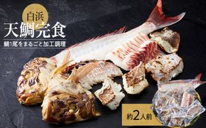 白浜天鯛完食 【先行予約 2026年3月初旬～5月中旬に順次配送】 304018_C008
