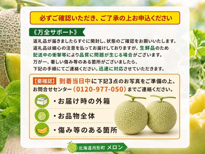 〈先行受付〉【2027年夏発送】北海道 赤肉メロン 北の女王 青肉メロン 月雫 秀品 約1.6kg 各1玉 令和9年 メロン 果物 フルーツ 旬 希少 甘い 豊潤 国産 産地直送 ギフト お祝い 贈答品 贈り物 お中元 お取り寄せ 送料無料 