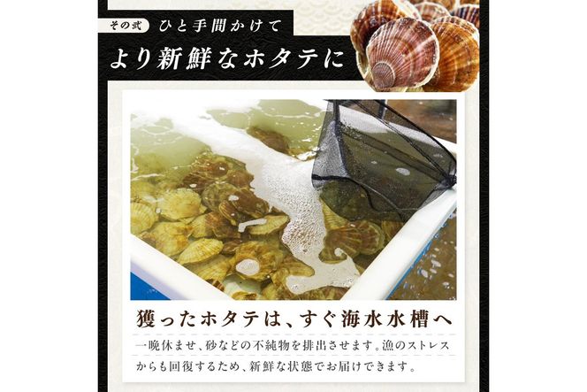 【予約：2026年10月下旬から順次発送】北海道漁師直送 最高鮮度3D冷凍ホタテ「しばれホタテ」 化粧箱入り 250g ( 海鮮 魚介 魚介類 貝 ほたて 刺身 貝柱 海鮮丼 贈答 ギフト )【197-0003-2026】