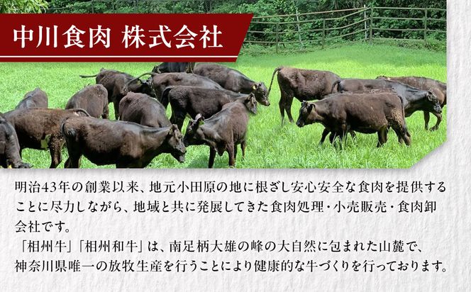 本格和牛　和牛屋　ふるさと納税プラン　招待券　2名様分【和牛 フルコース 肉 牛 デザート付 こだわり食材 スペシャルコース 相州牛 かながわブランド フルコース ペア 焼肉 食事券 神奈川県 小田原市 】 142069_BF007