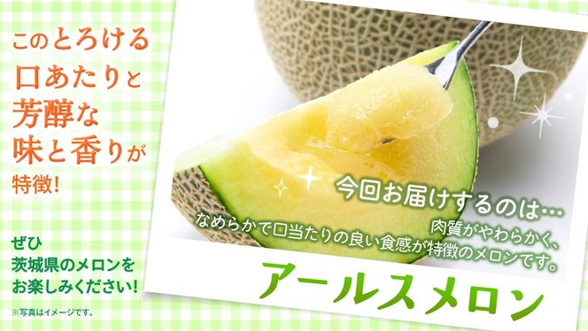 ＼ 玉数とお届け回数が選べる ／ アールスメロン 1玉 / 2玉 / 3玉 メロン ギフト 高糖度 甘い 美味しい フルーツ 誕生日 プレゼント ギフト 贈り物 父の日 母の日 1個 / 2個 / 3個