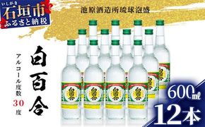 IK-9 池原酒造 白百合 600ml 30度 12本セット