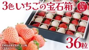 3色いちご の宝石箱36粒【2025年12月上旬発送開始】(茨城県共通返礼品：大子町) いちご 苺 果物 フルーツ 果実