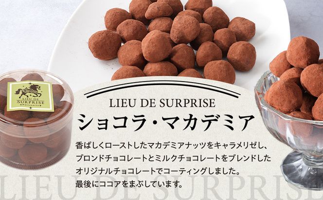 ［Pâtisserie LIEU DE SURPRISE］アマンドショコラ、ショコラ・マカデミア、オランジェット詰め合わせ 372013_HE001