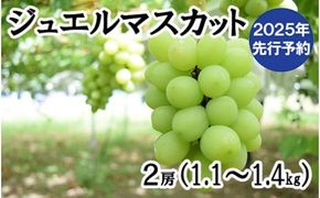 【2025年発送分 先行予約】 ジュエルマスカット～シャインマスカットの血を引く次世代のブドウとして注目されている希少な新品種～　1.１～1.4ｋｇ（２房） ジュエル マスカット フルーツ 山梨県産 果物 くだもの ぶどう ブドウ 葡萄 種なし 種無し 産地直送 先行予約 富士川町