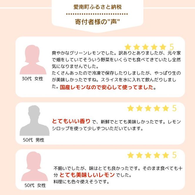 訳あり レモン（イエローレモン） 1kg りのか 減農薬 レモン イエローレモン 農家直送 こだわり らんきんぐ 柑橘 かんきつ 檸檬 果物 くだもの 果実 国産 フルーツ 有名 愛媛 ブランド 愛媛県産 瀬戸内 ビタミン 美味しい 生産者 直送 産直 無添加 レモンサワー ジュース チューハイ 愛媛県 愛南町 みかん職人武田屋